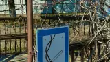 База отдыха «Динамо-3», г. Анапа