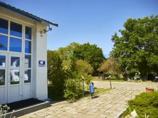 База отдыха «Динамо-3», г. Анапа