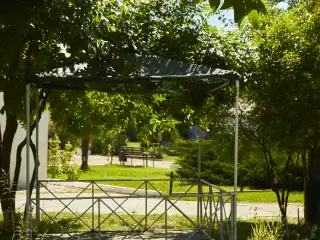 База отдыха «Динамо-3», г. Анапа